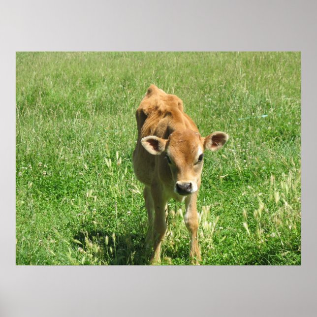Outstanding In his field  Photo Print (Front)