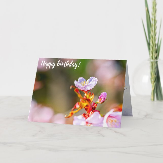 Outstanding Pink Sakura Flower In Springtime Card (Front)