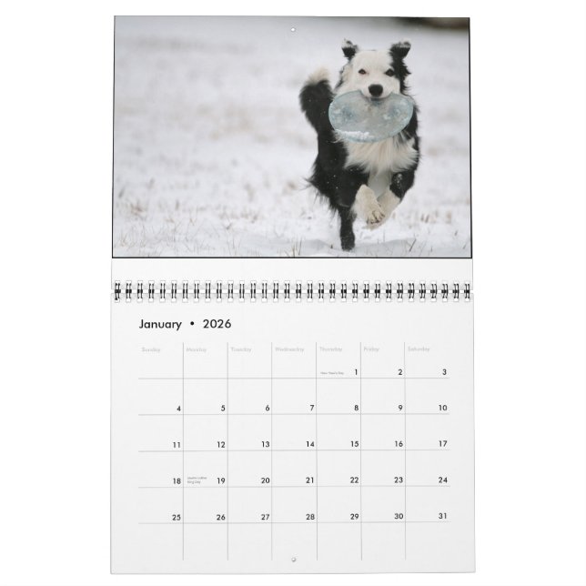 Ouzo 2010 Calendar (Jan 2026)