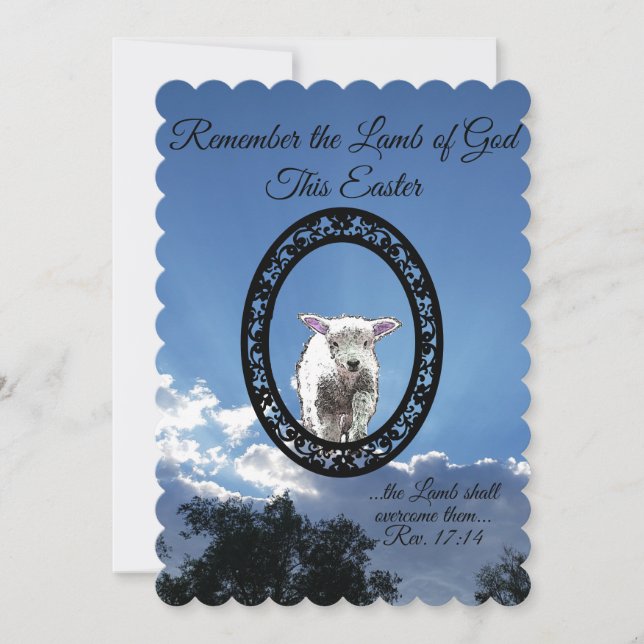 Oval Framed Lamb Sun Lit Clouds Flat Holiday Card (Front)