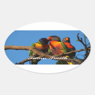 Oval photo sticker with name - Rainbow Lorikeet