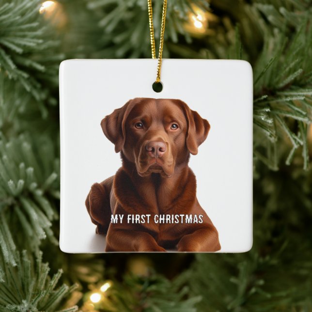 Oval Puppy My First Christmas Photo Ornaments (Tree)