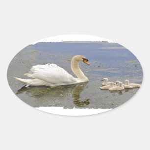 Oval Sticker - Customised