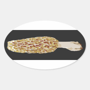 Oval Sticker Yellow Morel Morchella esculenta