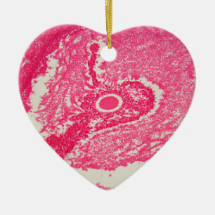 Ovary cells under the microscope. ceramic tree decoration