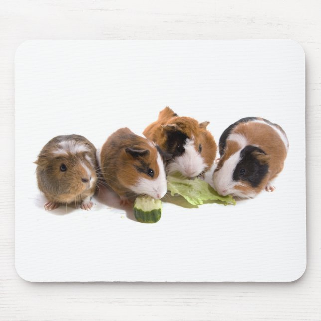 oven guinea pigs who eat, mouse mat (Front)