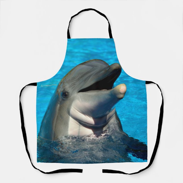 Oven Mitt and Pot Holders Apron (Front)