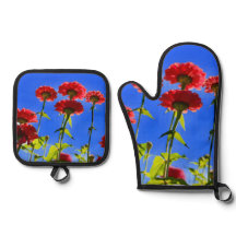 Oven Mitt and Pot Holders