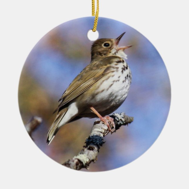 Ovenbird Ceramic Tree Decoration (Front)