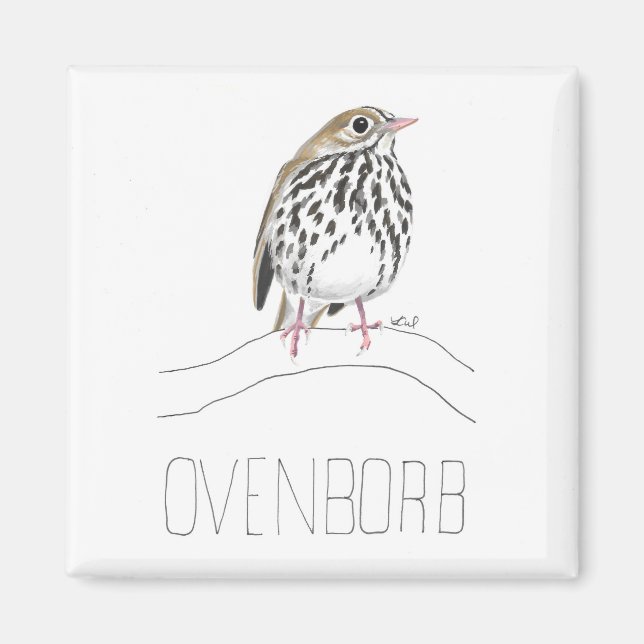 Ovenborb (Ovenbird) Magnet (Front)