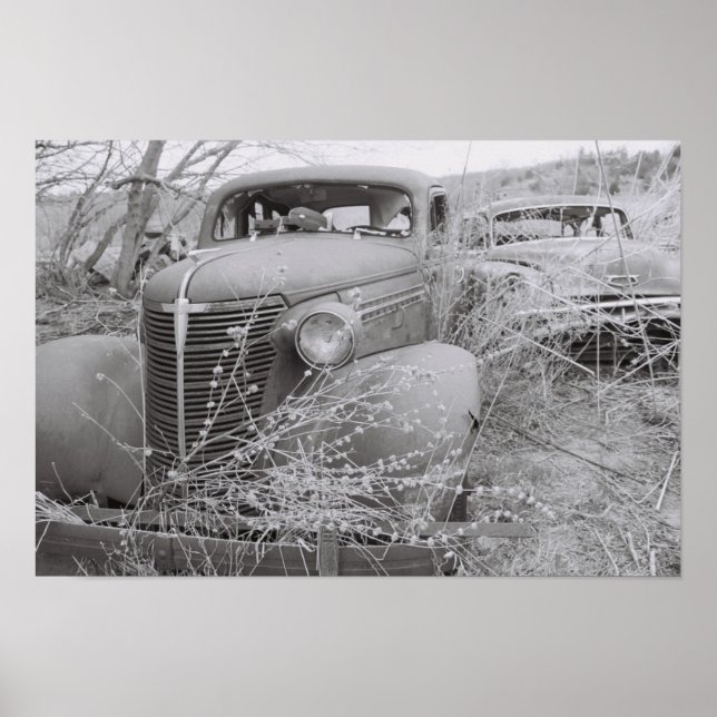 over grown poster (Front)