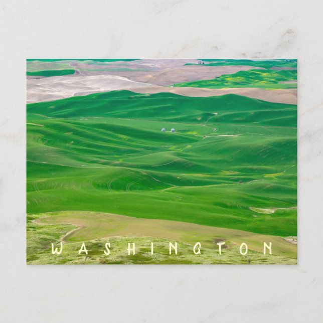 Over the Green Palouse from Steptoe Butte  Postcard (Front)