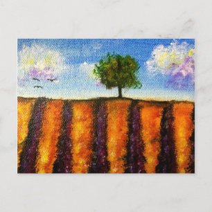 Over the Lavender Fields Postcards