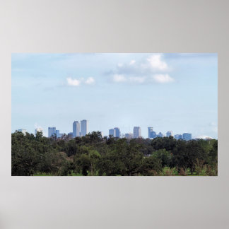 Over The Park Poster