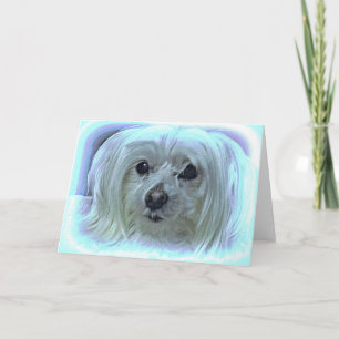 Over The Rainbow Card