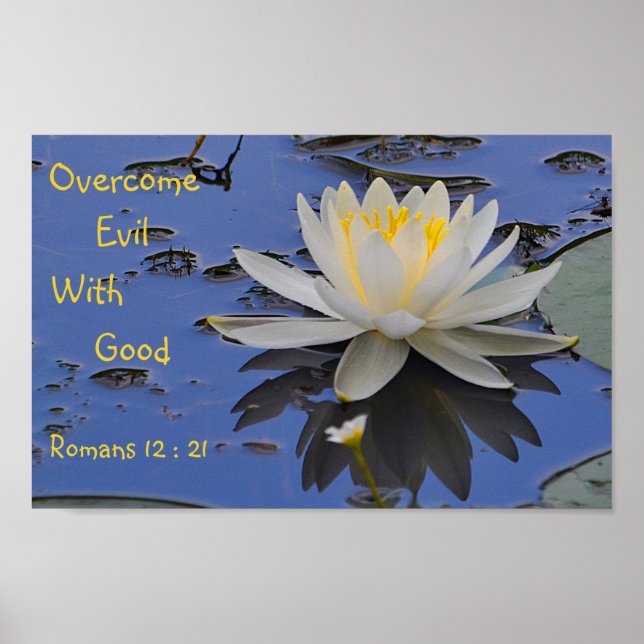Overcome Evil With Good Lily Poster (Front)