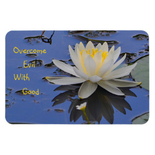 Overcome Evil With Good Magnet