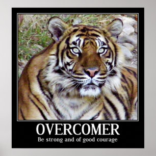 Overcomer_ Poster