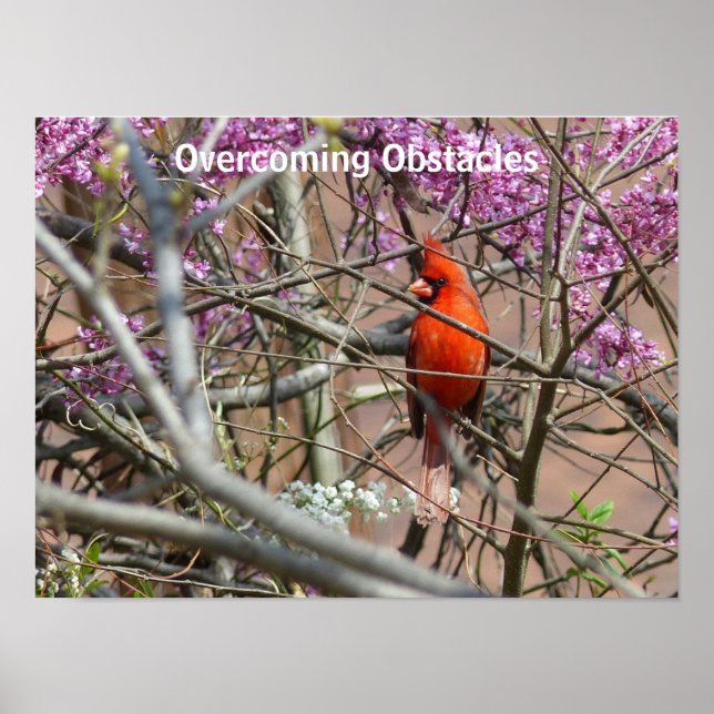 Overcoming Obstacles - poster (Front)