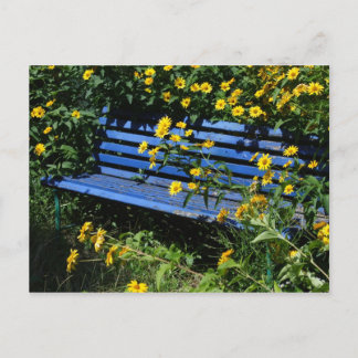 overgrown blue bench postcard