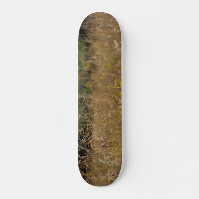 Overgrown Prairie Skateboard (Front)