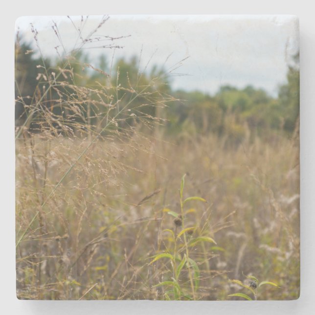 Overgrown Prairie Stone Coaster (Front)