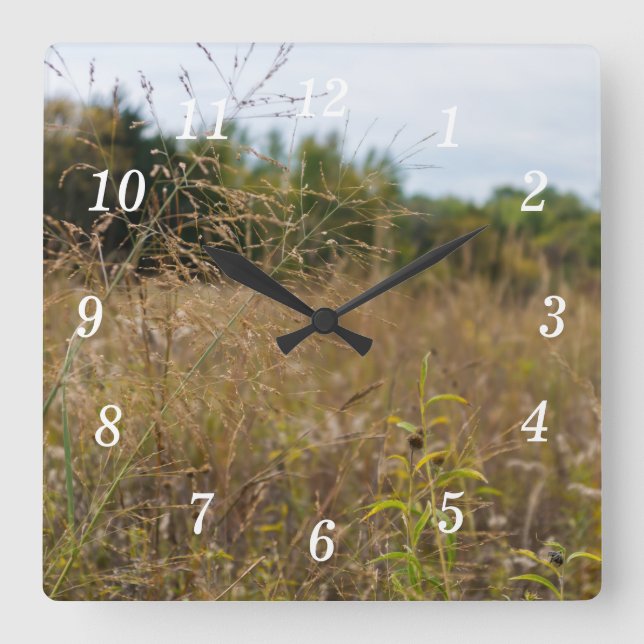 Overgrown Prairie Wall Clock (Front)
