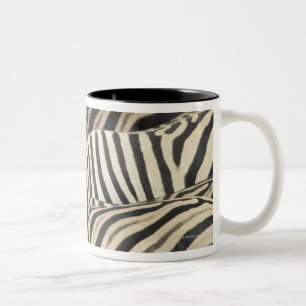 Overhead view of Burchell's Zebra Two-Tone Coffee Mug