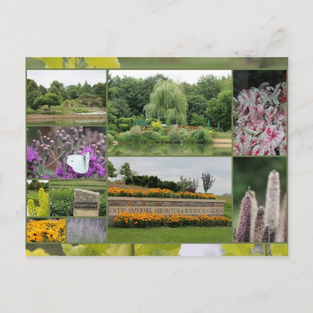 Overland Park Arboretum and Botanical Gardens Postcard (Front)