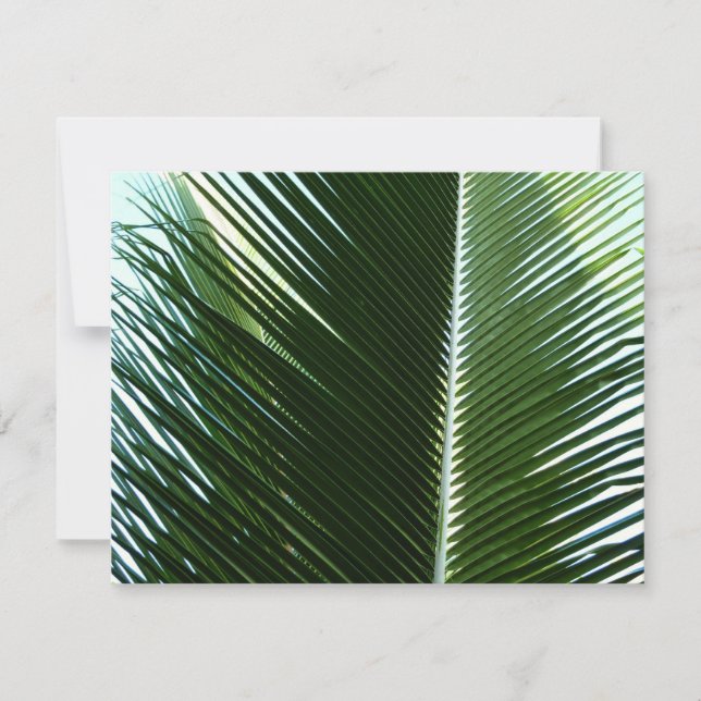 Overlapping Palm Fronds Tropical Green Abstract Card (Front)