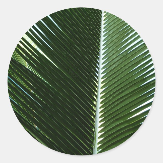 Overlapping Palm Fronds Tropical Green Abstract Classic Round Sticker (Front)