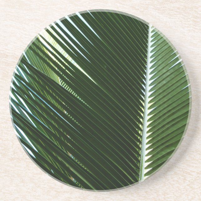 Overlapping Palm Fronds Tropical Green Abstract Coaster (Front)