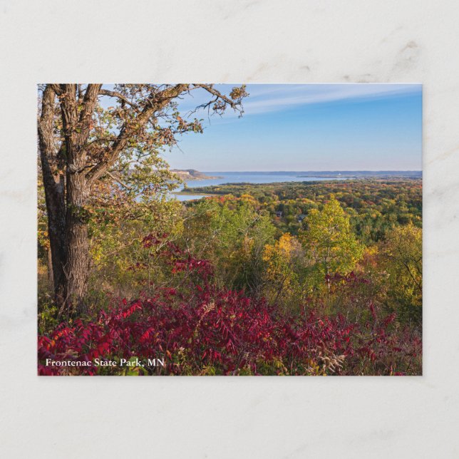 overlooking lake pepin from frontenac state park postcard (Front)
