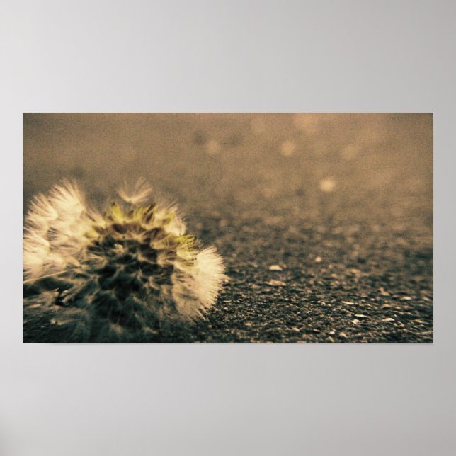 Overshadowed Poster (Front)