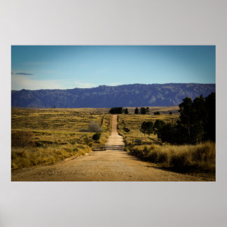Overview Mountain Road Surrounded By Vegetation Poster