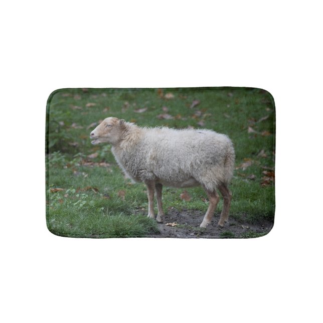 Ovis aries bath mat (Front)