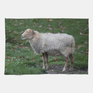 Ovis aries tea towel