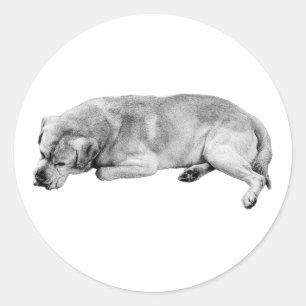 ow and Ready, Good Dog Classic Round Sticker