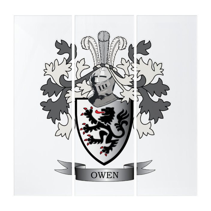 Owen Family Crest Coat of Arms Triptych Zazzle.co.uk