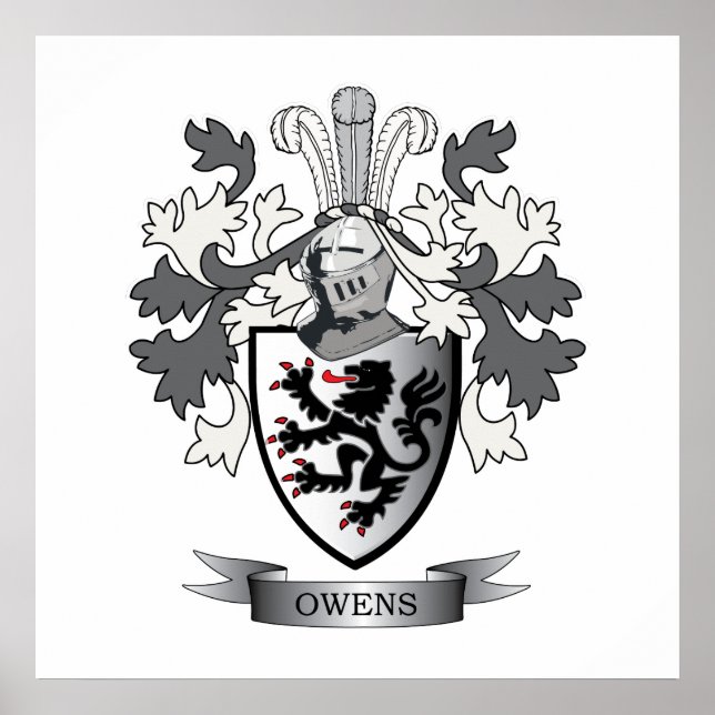 Owens Family Crest Coat of Arms Poster (Front)