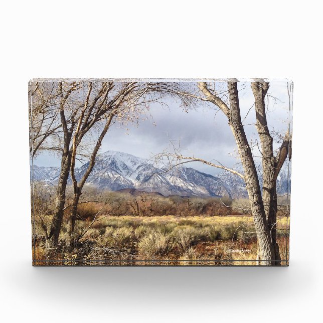 Owens Valley Mountain View of Mt. Tom Photo Block (Front)