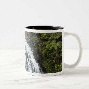 Owharoa Falls, Karangahake Gorge, near Paeroa, Two-Tone Coffee Mug