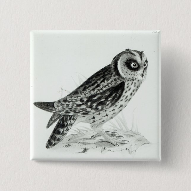 Owl 15 Cm Square Badge (Front)