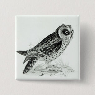Owl 15 Cm Square Badge