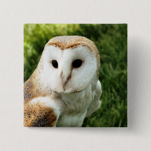 OWL 15 CM SQUARE BADGE