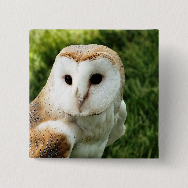OWL 15 CM SQUARE BADGE (Front)