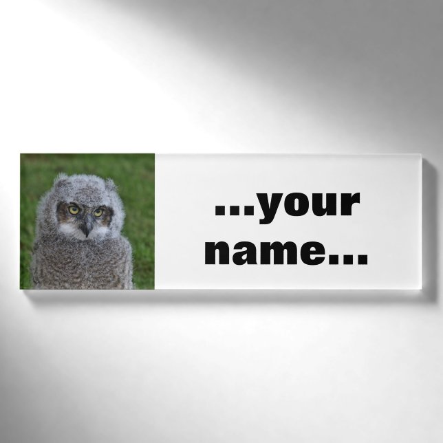 Owl_20180215_by_JAMFoto Name Tag (Front)