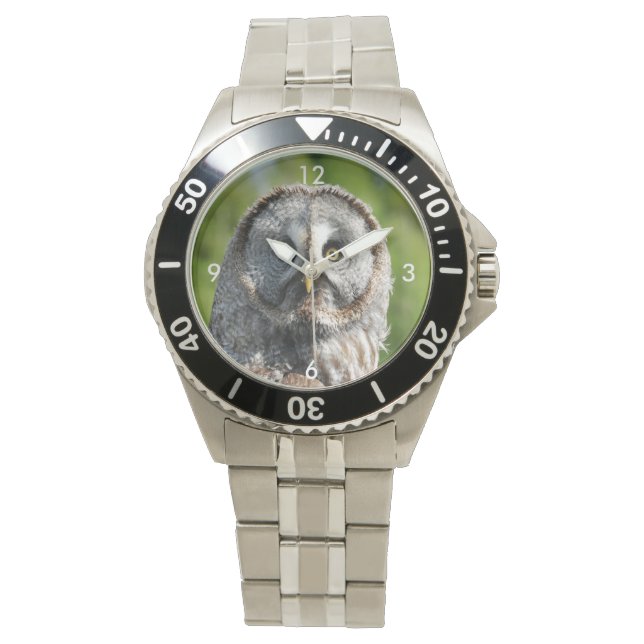 Owl_20180219_by_JAMFoto Watch (Front)