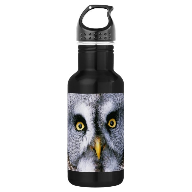 Owl 2 532 ml water bottle (Front)