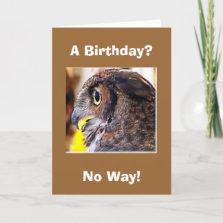 owl 2, A Birthday?, No Way! Card